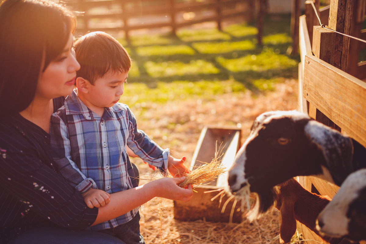 fotografa familia curitiba - ensiao externo lucas
