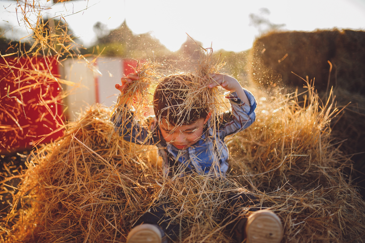 fotografa familia curitiba - ensiao externo lucas
