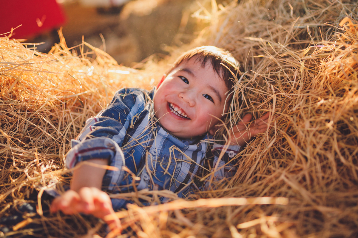 fotografa familia curitiba - ensiao externo lucas