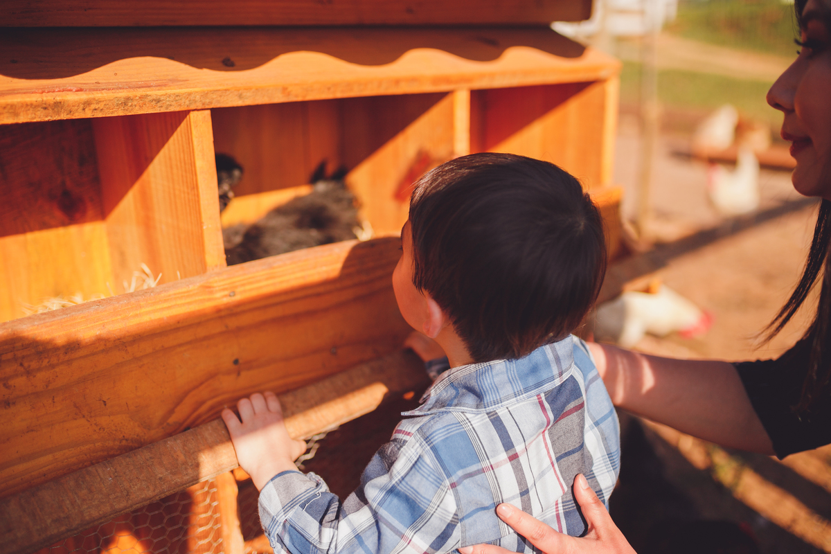 fotografa familia curitiba - ensiao externo lucas