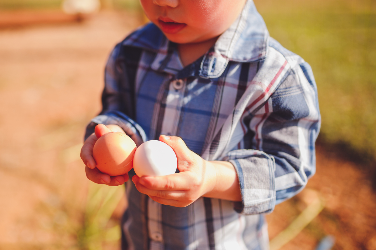 fotografa familia curitiba - ensiao externo lucas