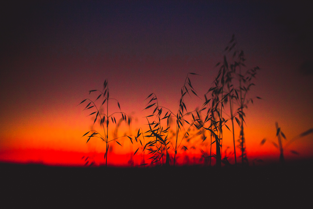 fotografa familia curitiba - ensiao externo lucas