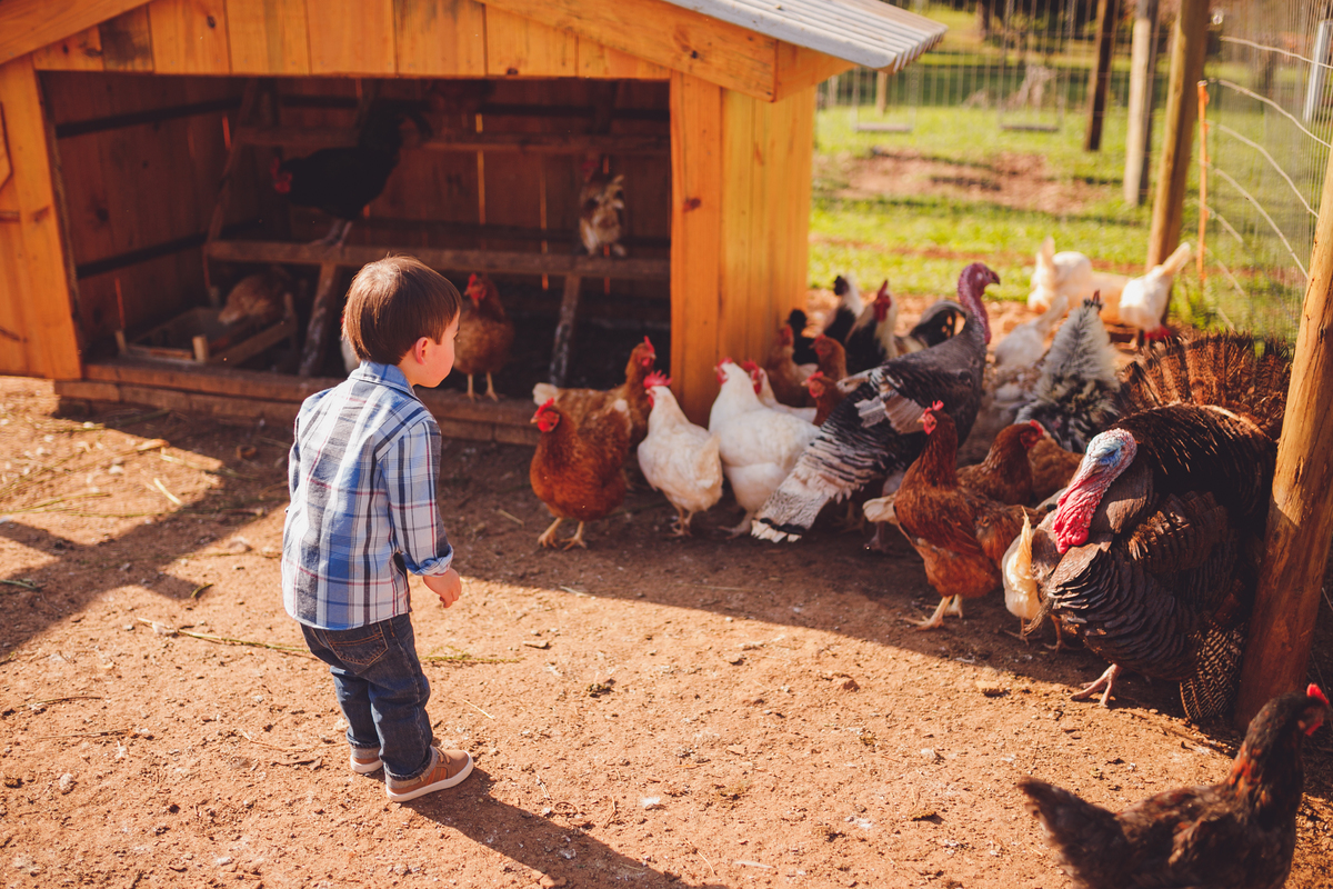 fotografa familia curitiba - ensiao externo lucas