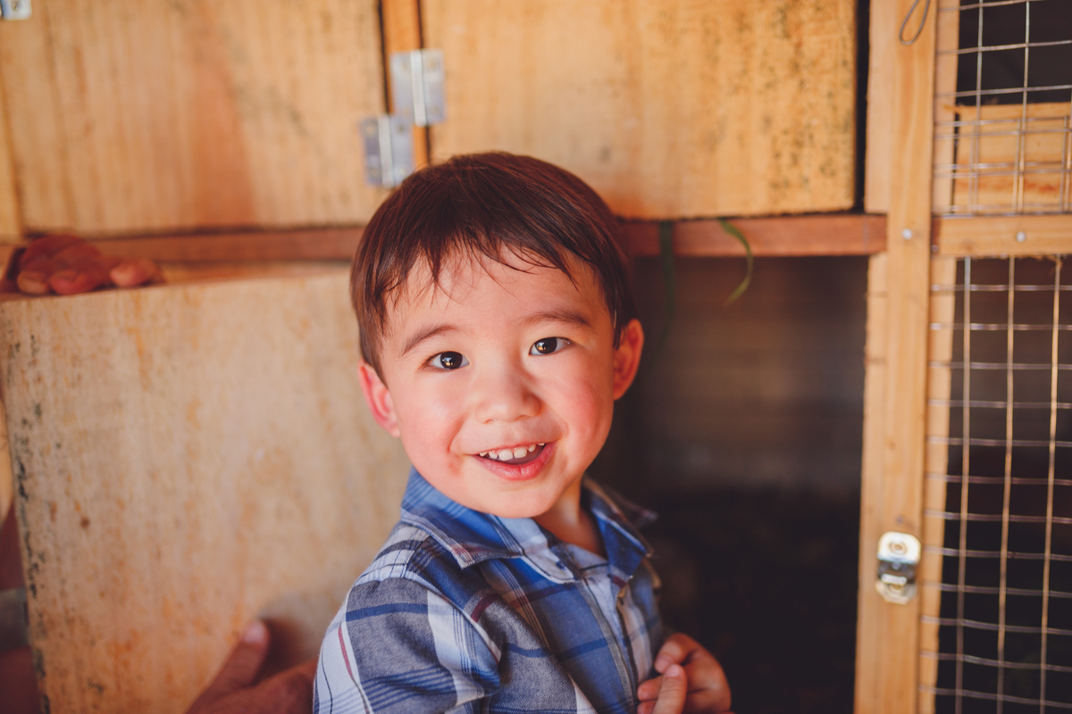 fotografa familia curitiba - ensiao externo lucas