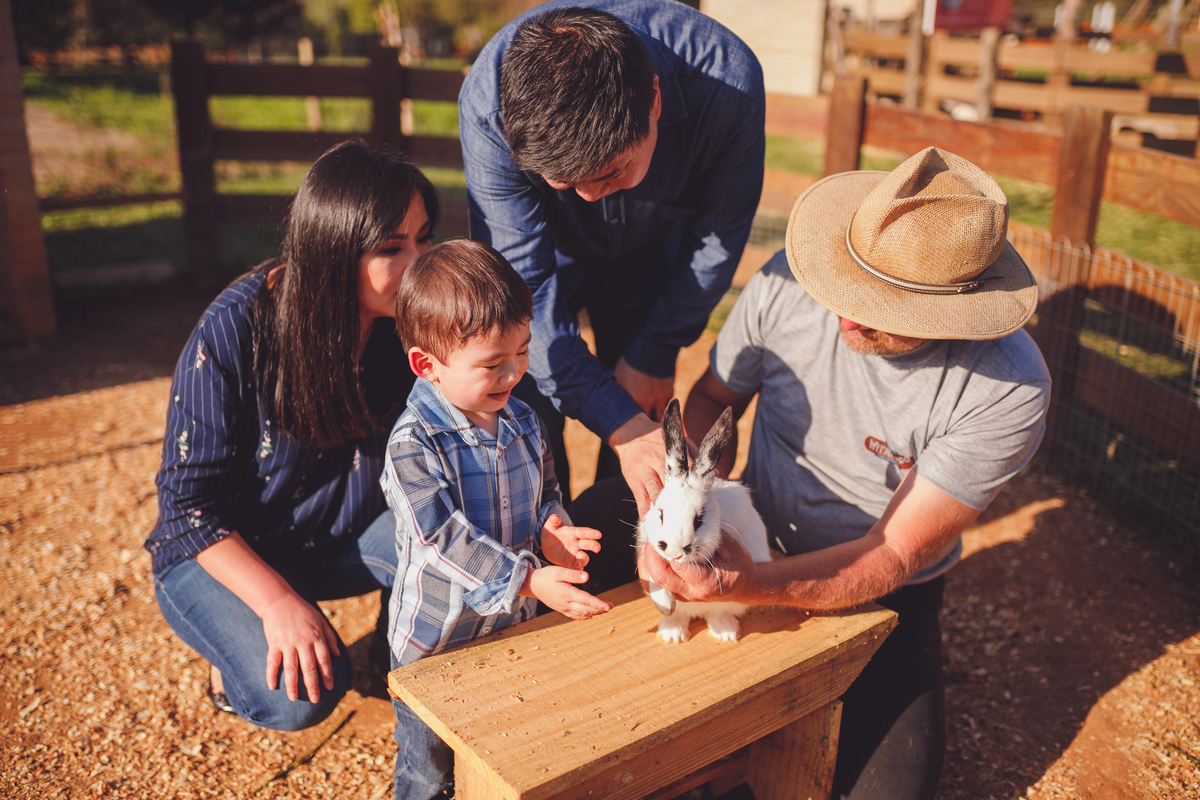 fotografa familia curitiba - ensiao externo lucas