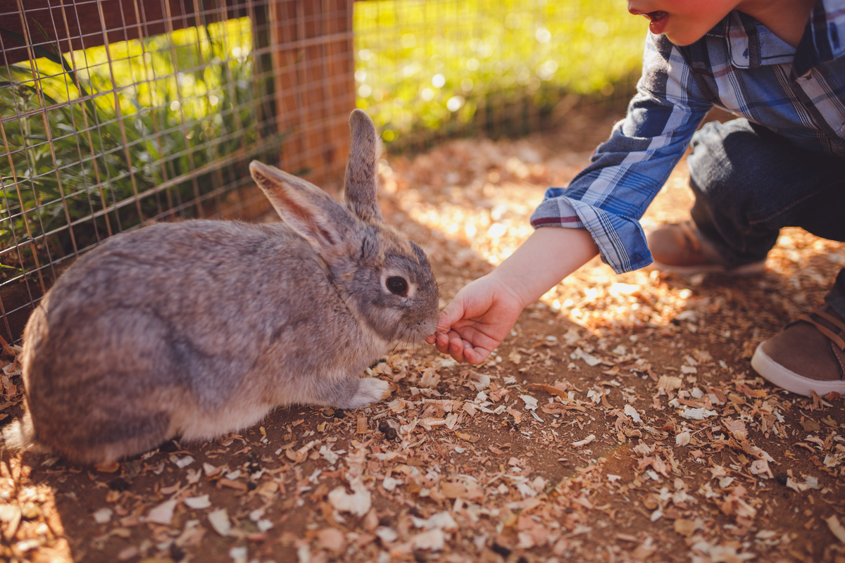 fotografa familia curitiba - ensiao externo lucas