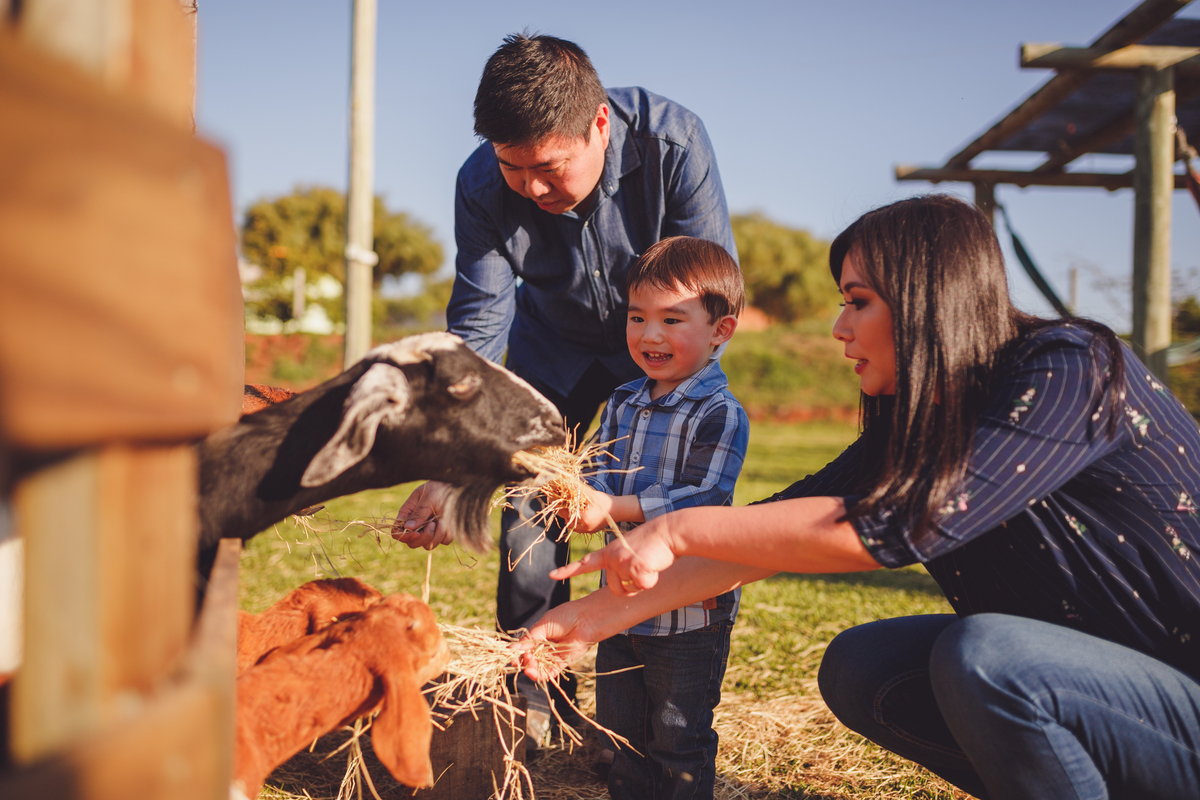 fotografa familia curitiba - ensiao externo lucas