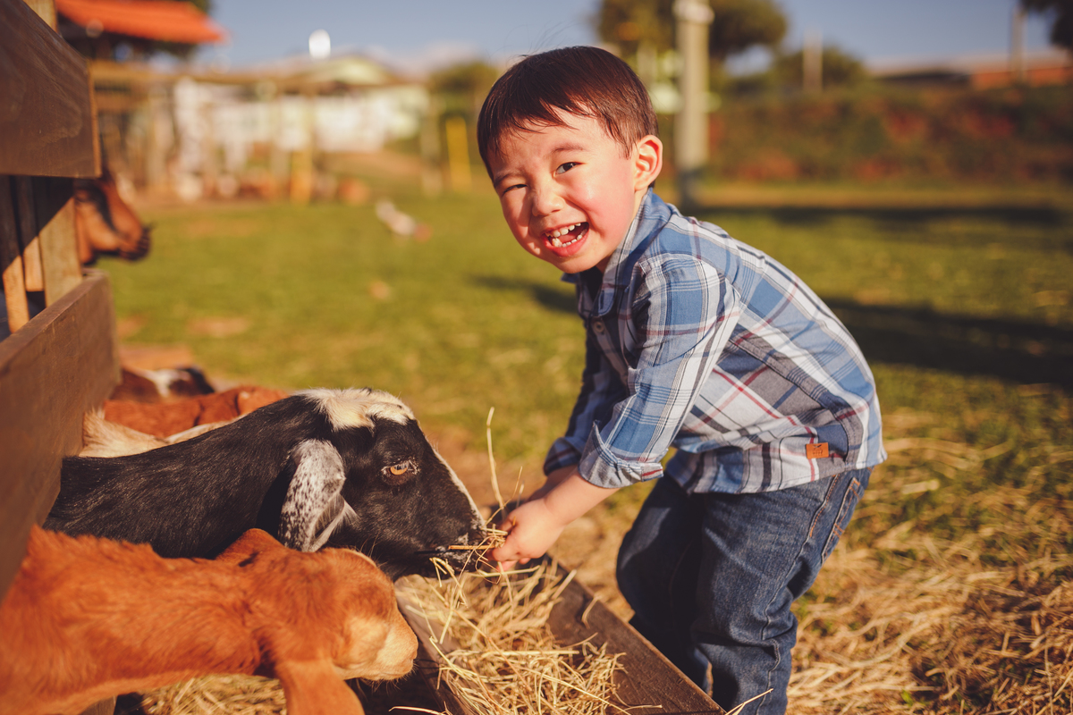 fotografa familia curitiba - ensiao externo lucas