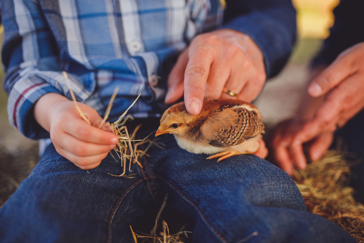 fotografa familia curitiba - ensiao externo lucas