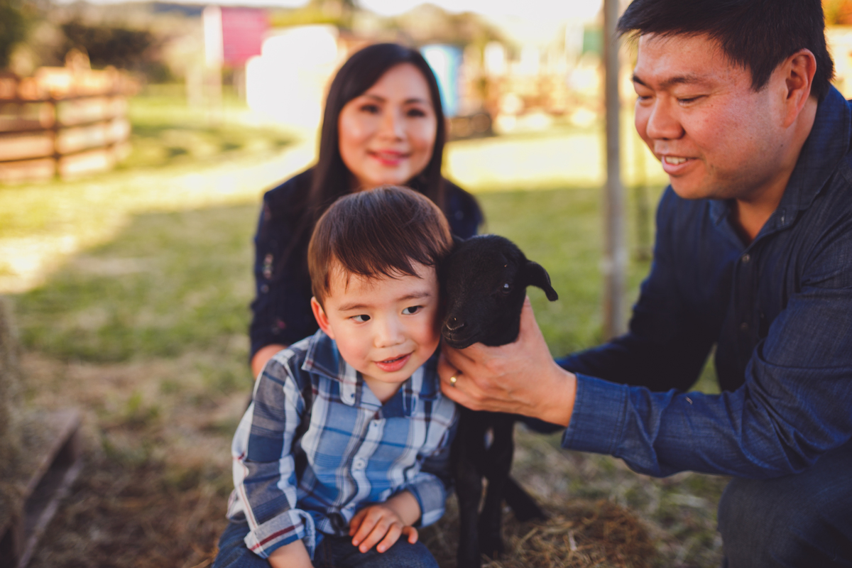fotografa familia curitiba - ensiao externo lucas