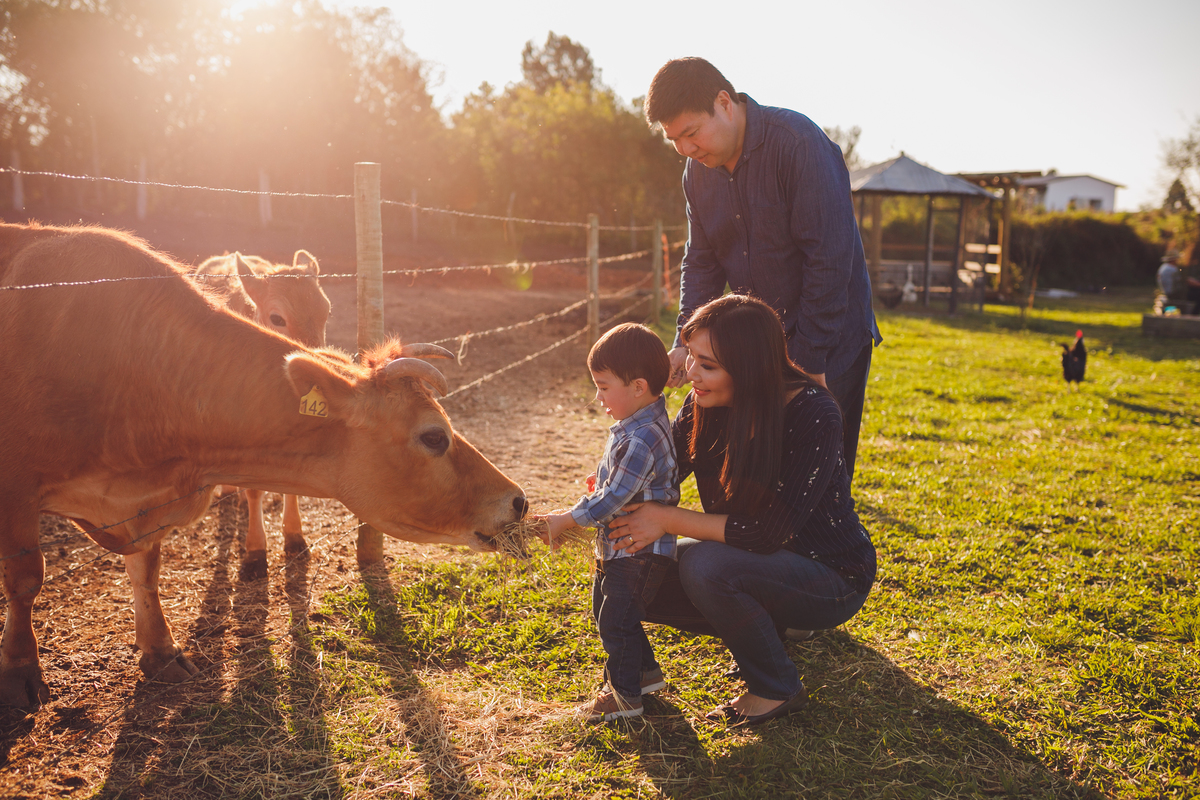 fotografa familia curitiba - ensiao externo lucas