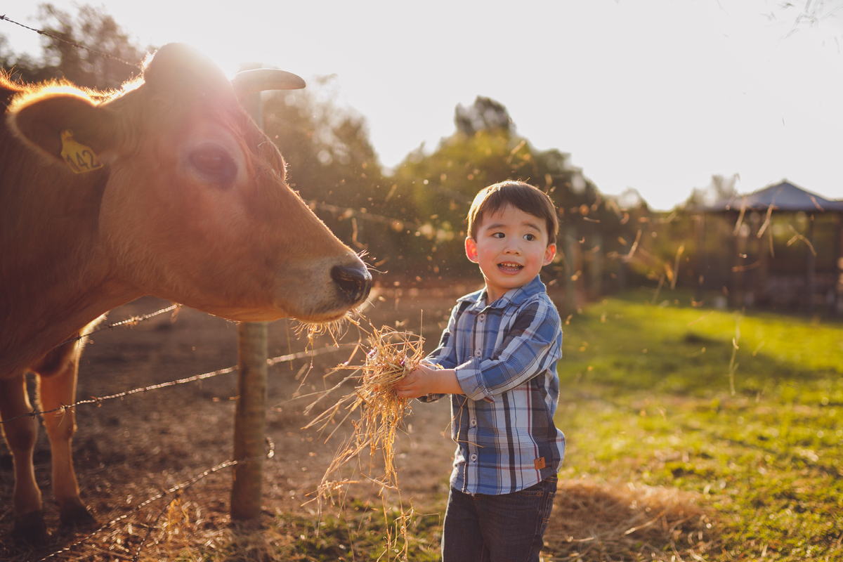 fotografa familia curitiba - ensiao externo lucas