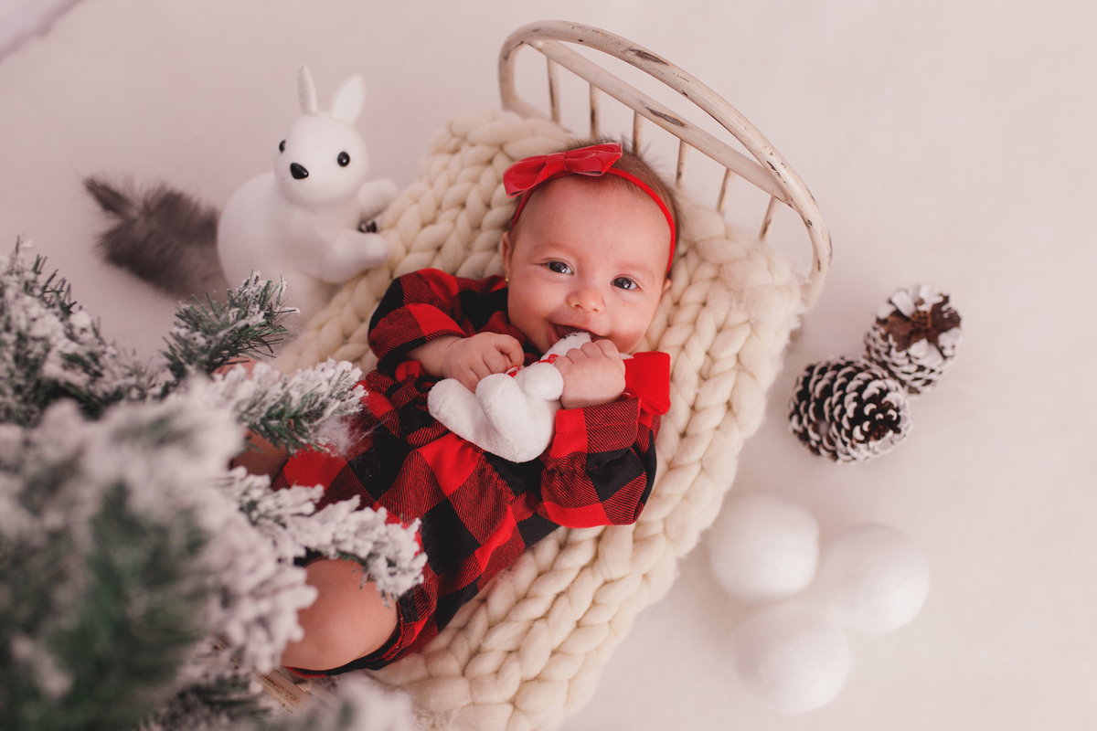 fotografa familia curitiba - natal livia