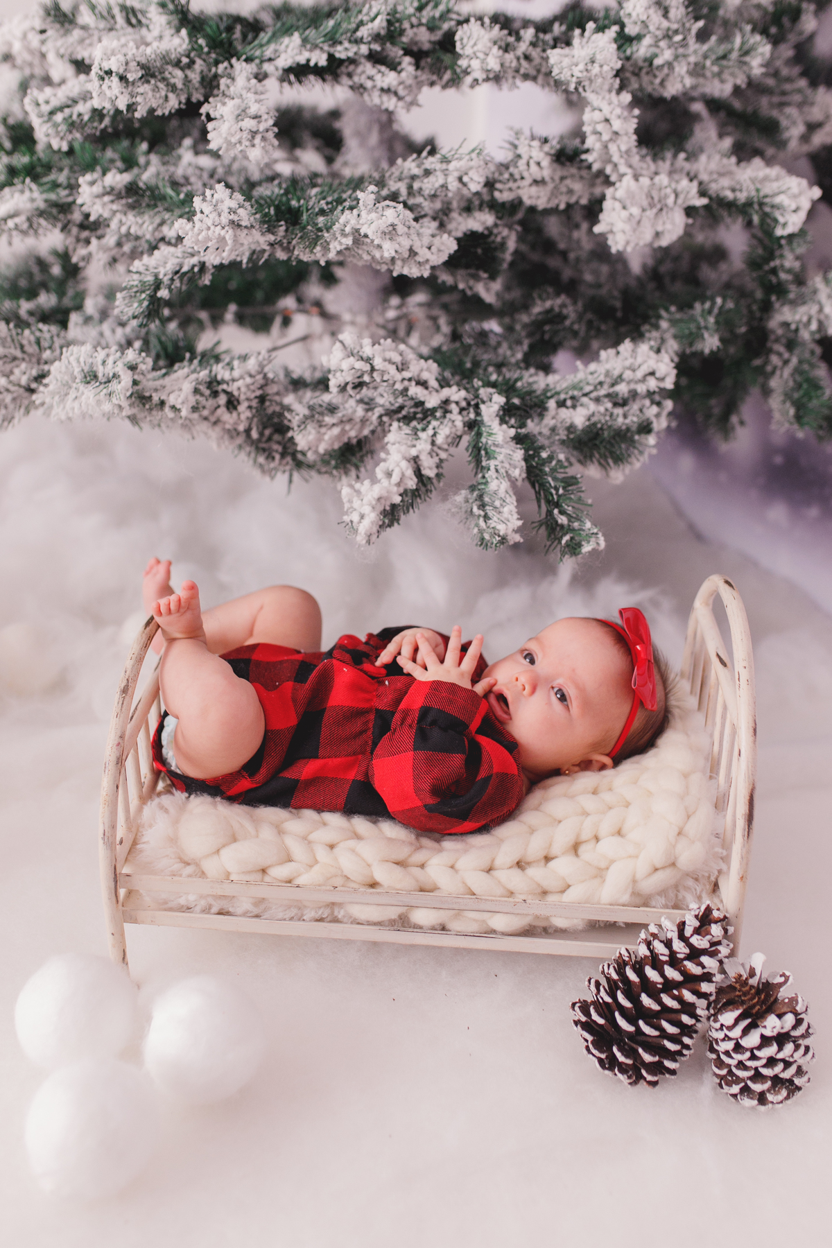 fotografa familia curitiba - natal livia