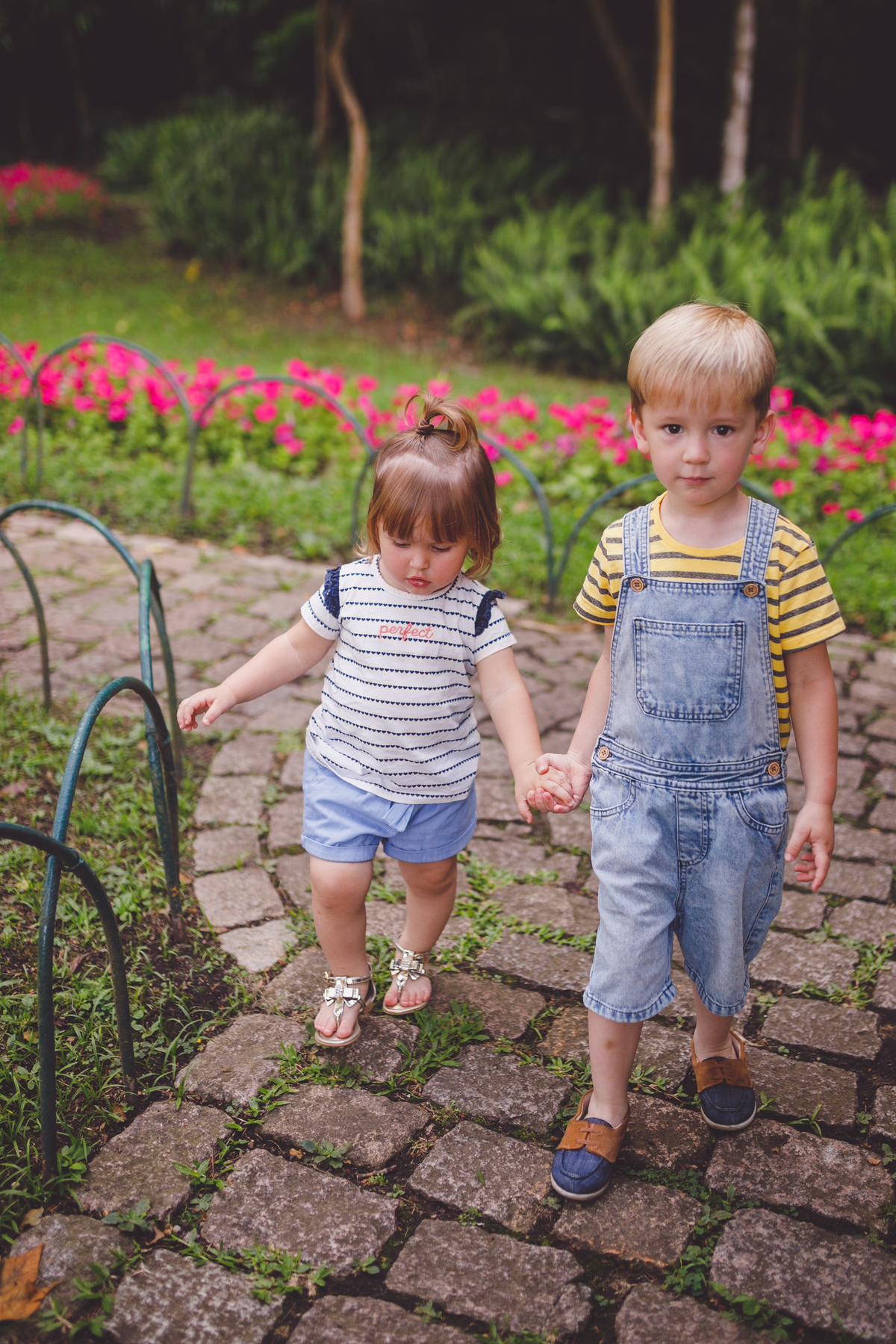 fotografa familia de curitiba - externo com netos