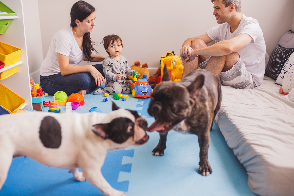 fotografa de familia de curitiba - lifestyle Miguel