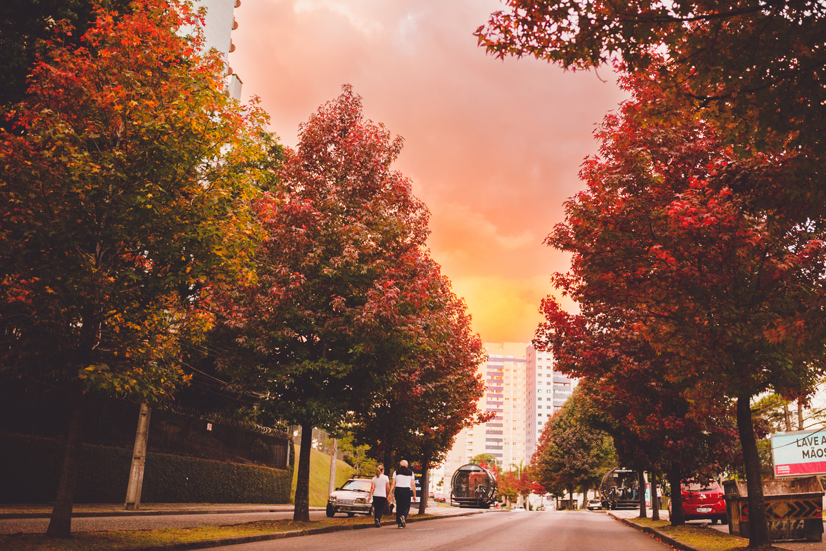 fotografa familia curitiba - gestante natalia