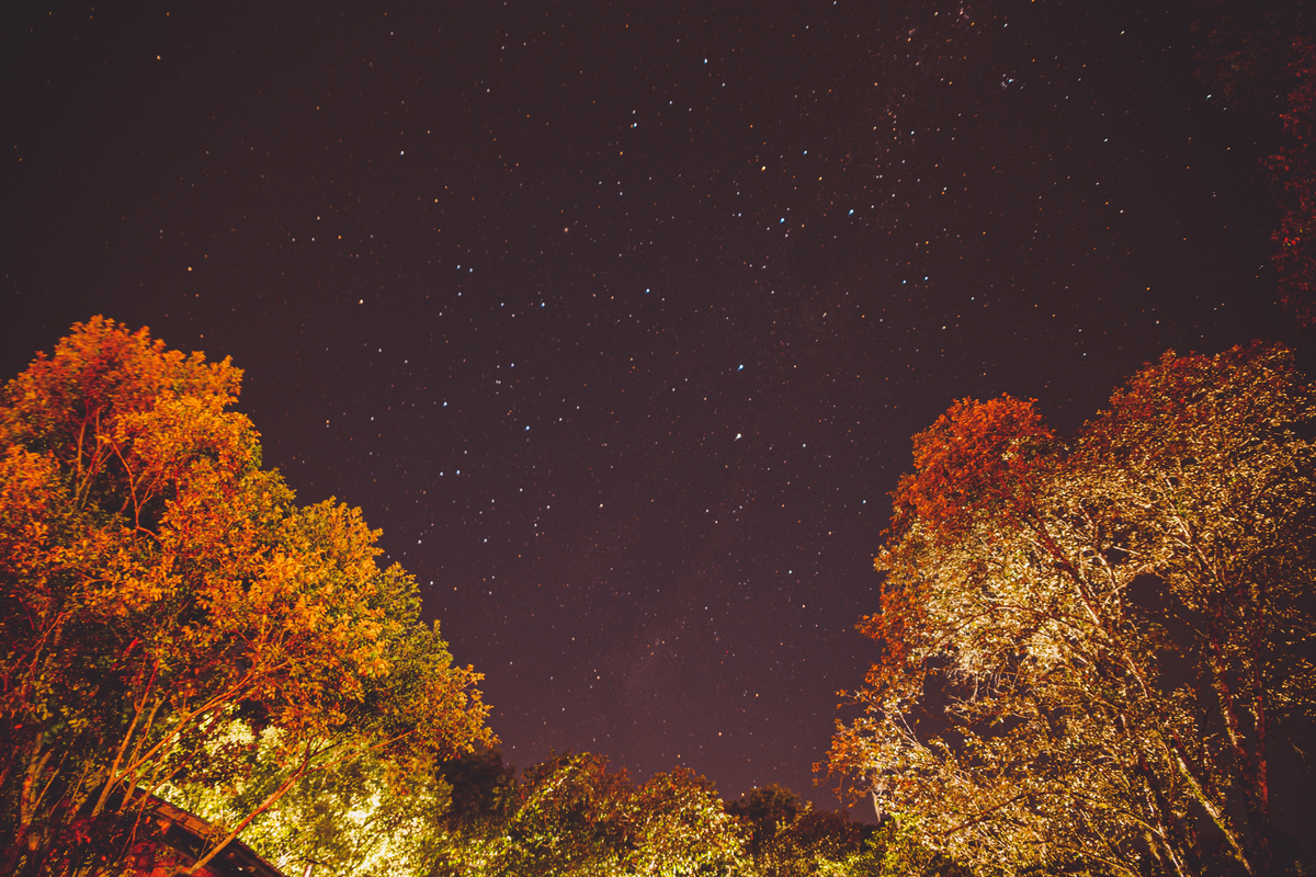 fotografa familia curitiba - viagem dani