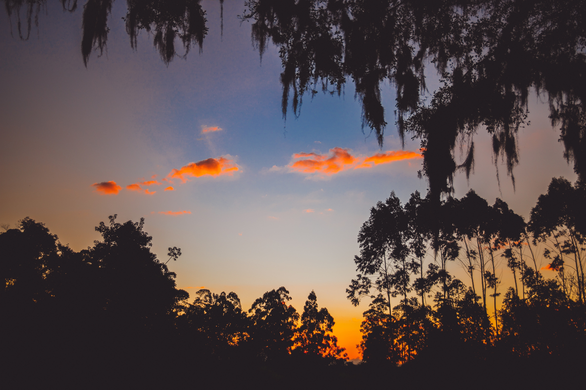 fotografa familia curitiba - viagem dani