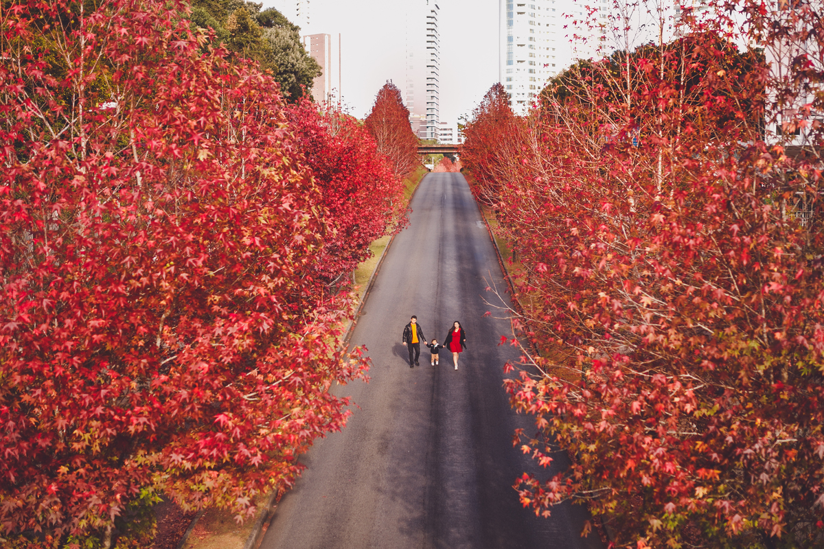 fotografa familia curitiba - dia das mães externo natanael
