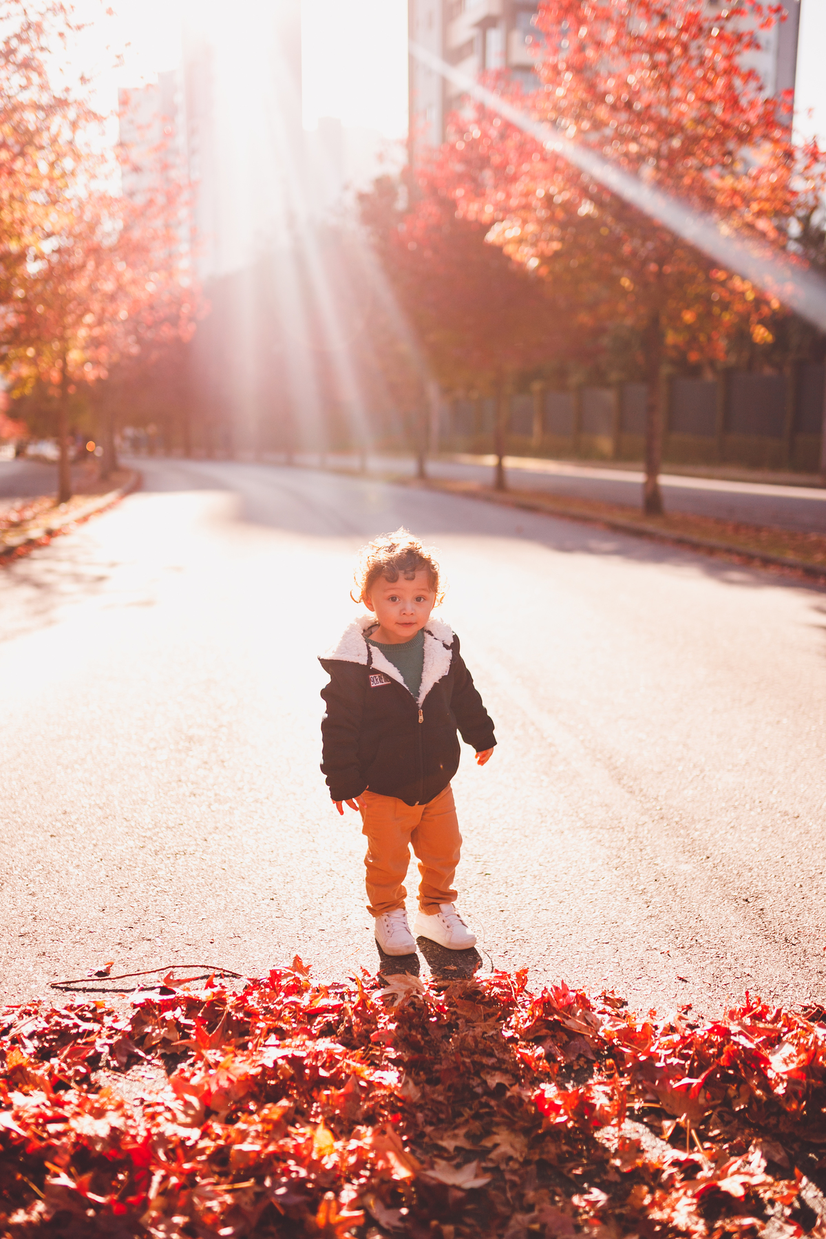 fotografa familia curitiba - dia das mães externo natanael