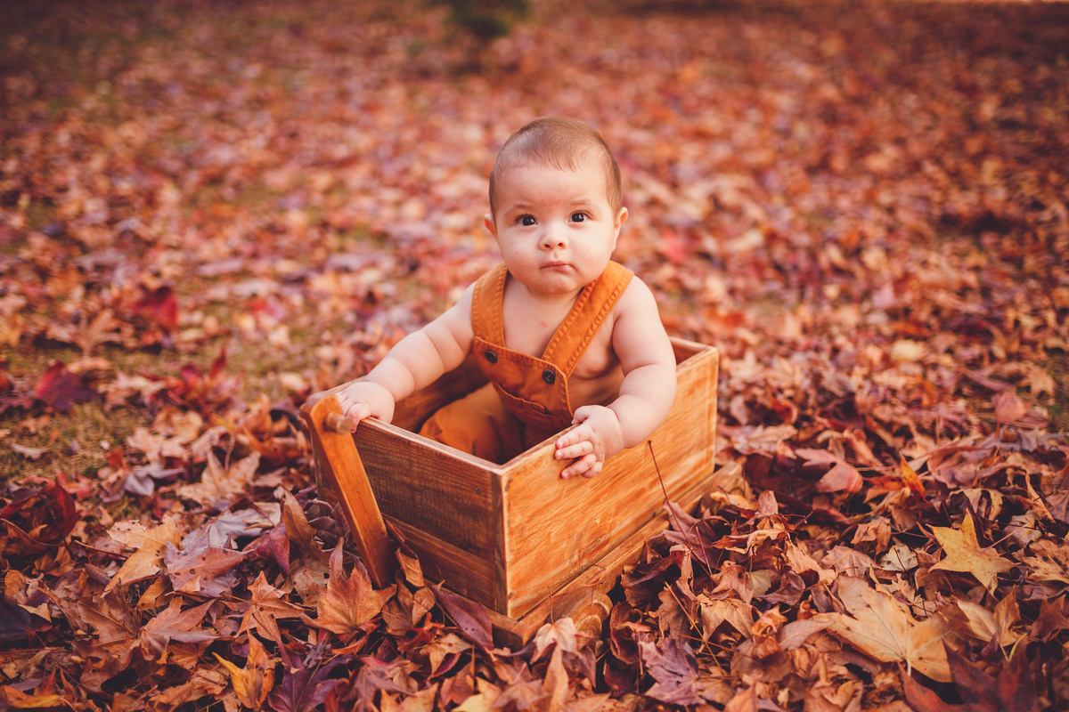 fotografa familia Curitiba - externo Theo acompanhamento bebe 