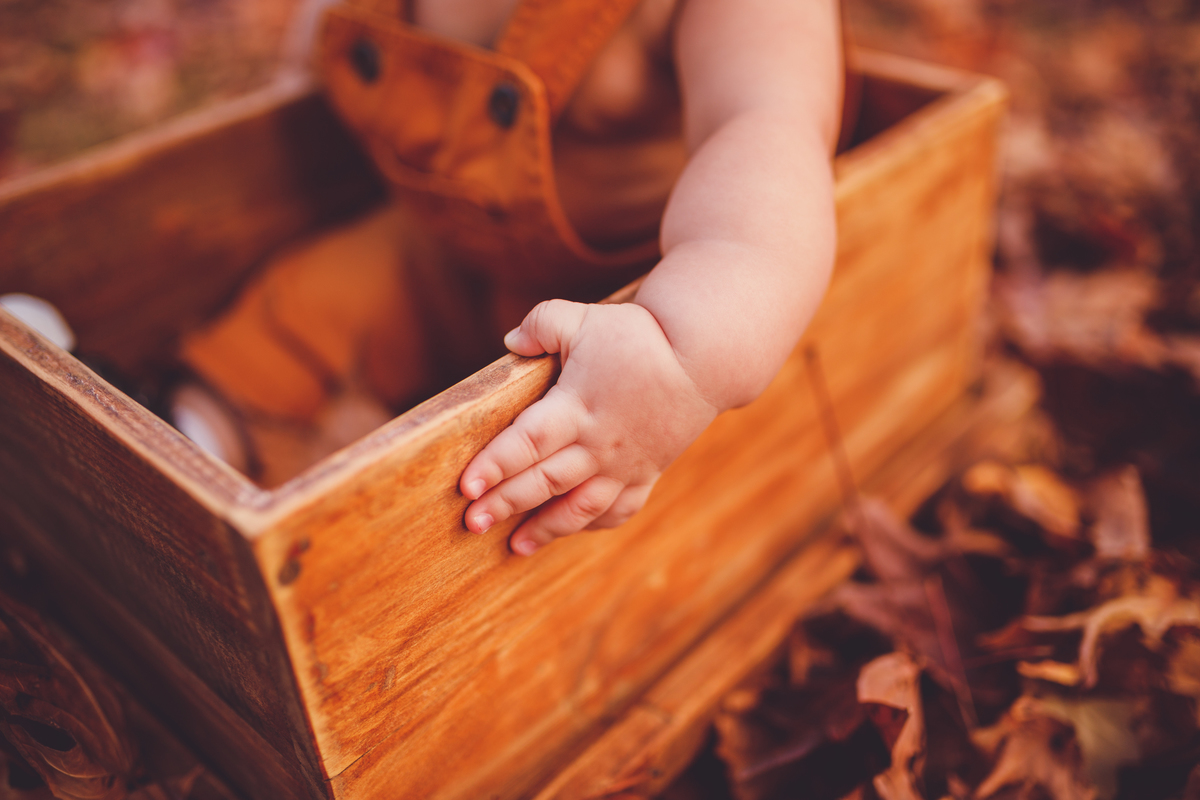 fotografa familia Curitiba - externo Theo acompanhamento bebe 