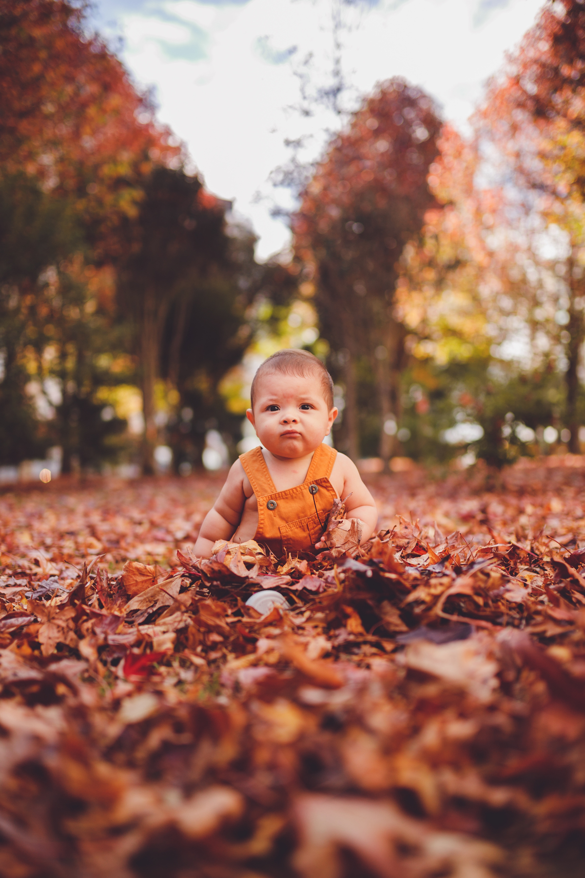 fotografa familia Curitiba - externo Theo acompanhamento bebe 