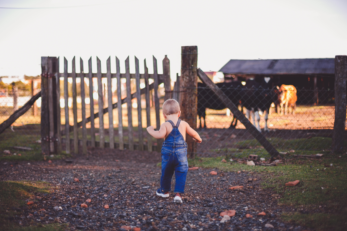 fotografa familia curitiba - ensaio externo bebe por do sol