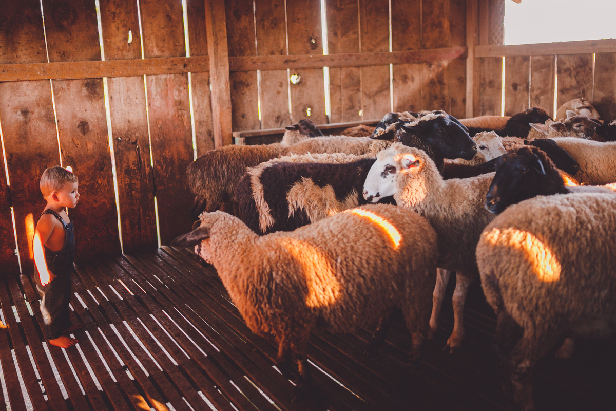 fotografa familia curitiba - ensaio externo bebe por do sol