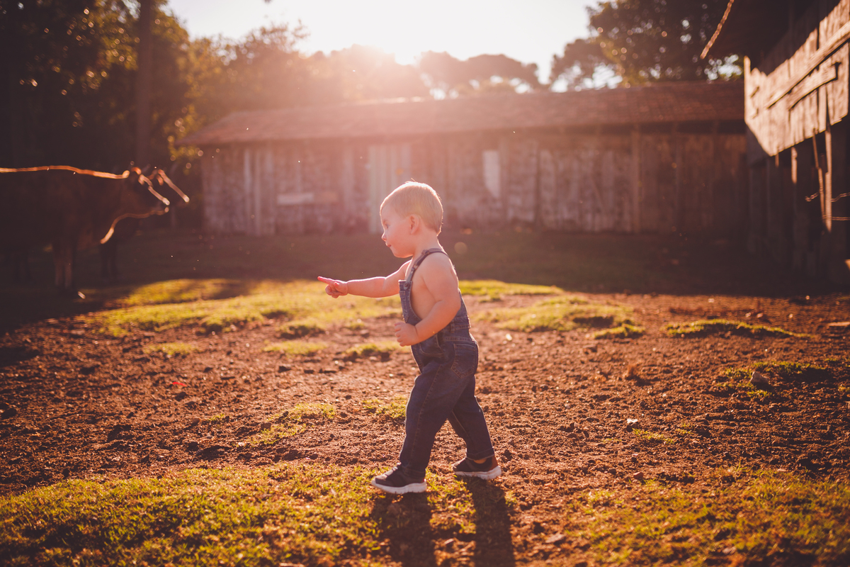 fotografa familia curitiba - ensaio externo bebe por do sol