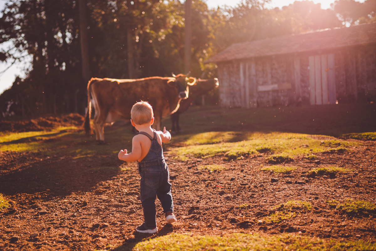 fotografa familia curitiba - ensaio externo bebe por do sol