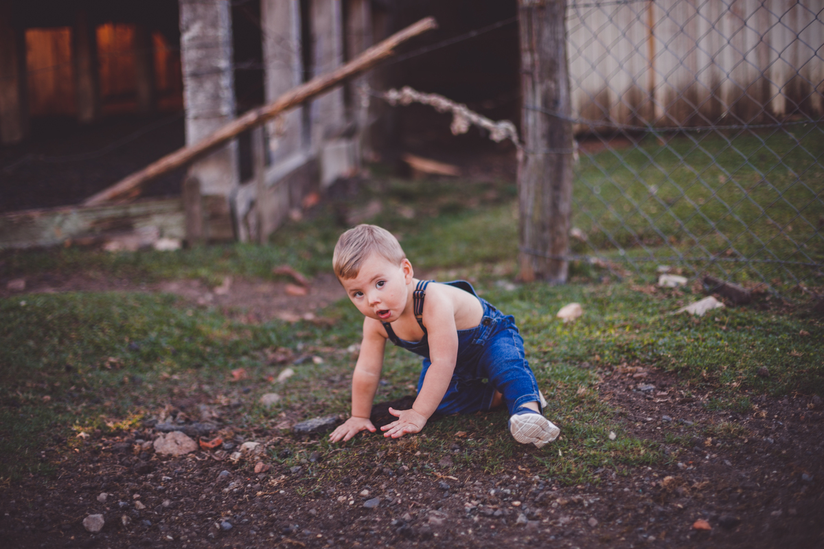 fotografa familia curitiba - ensaio externo bebe por do sol