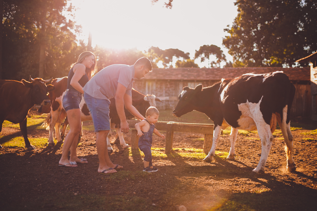 fotografa familia curitiba - ensaio externo bebe por do sol