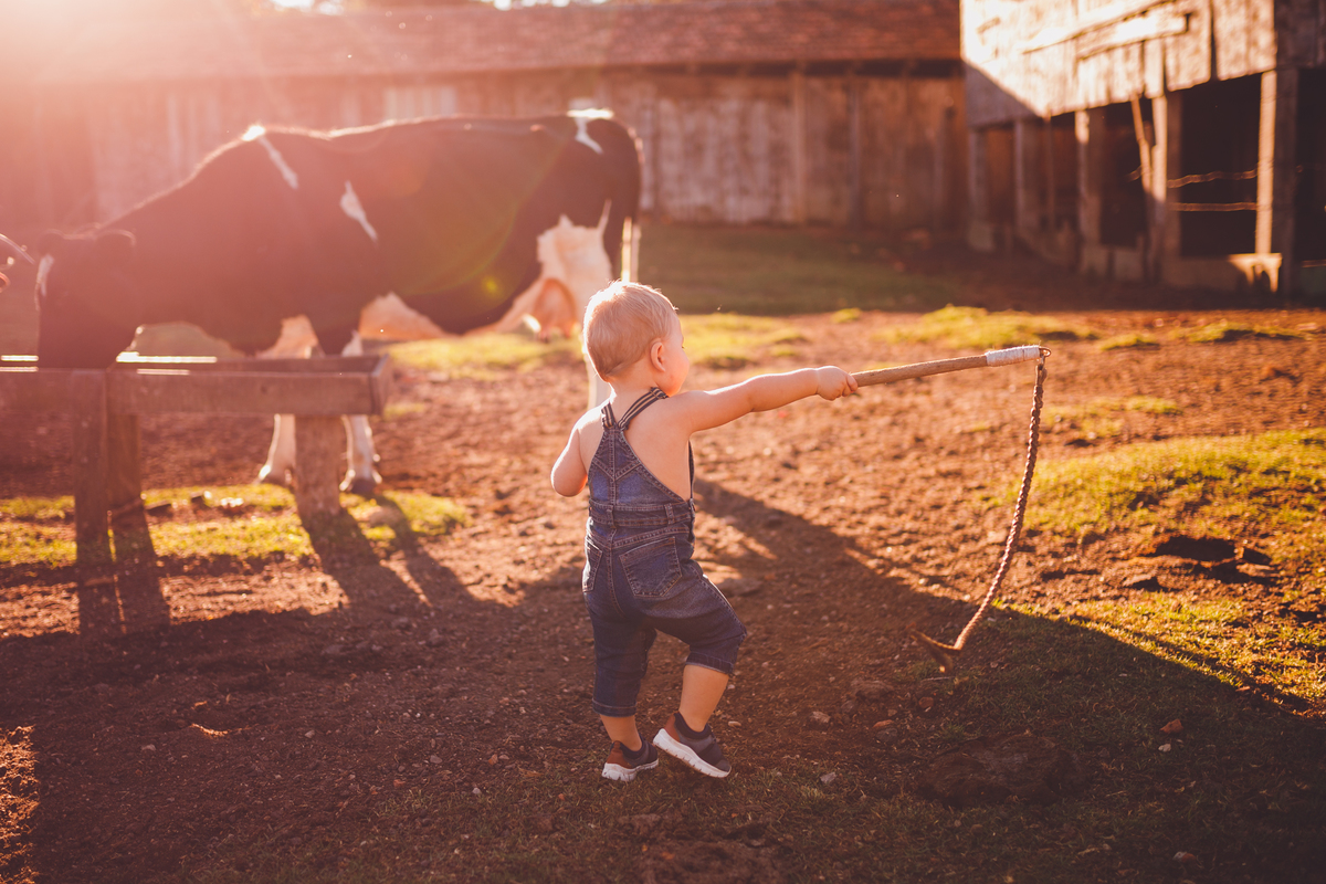 fotografa familia curitiba - ensaio externo bebe por do sol