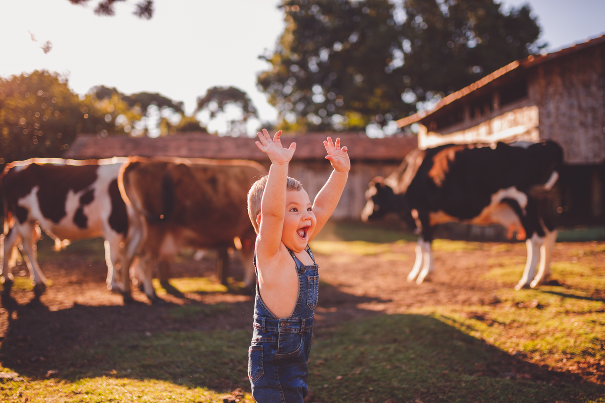fotografa familia curitiba - ensaio externo bebe por do sol