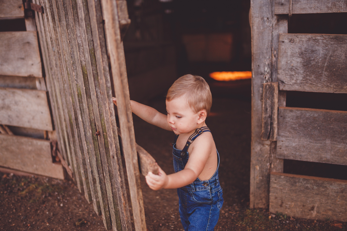 fotografa familia curitiba - ensaio externo bebe por do sol