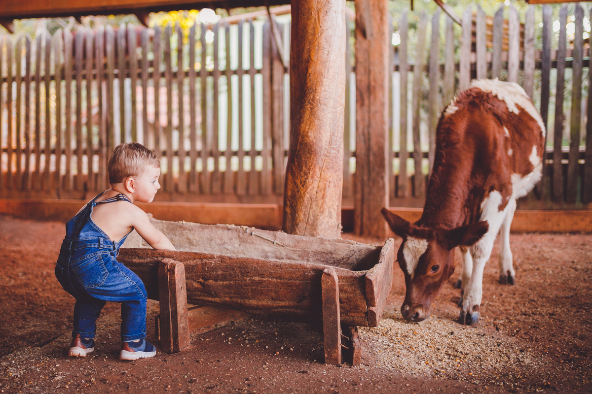 fotografa familia curitiba - ensaio externo bebe por do sol