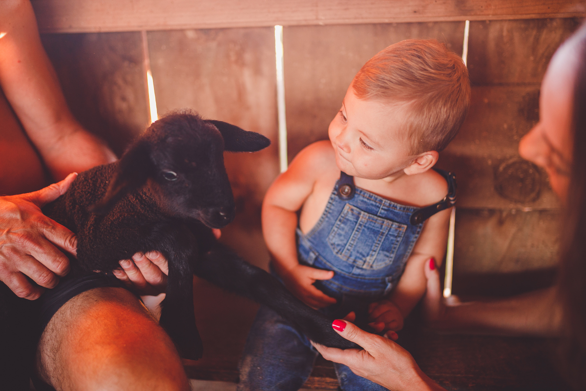 fotografa familia curitiba - ensaio externo bebe por do sol