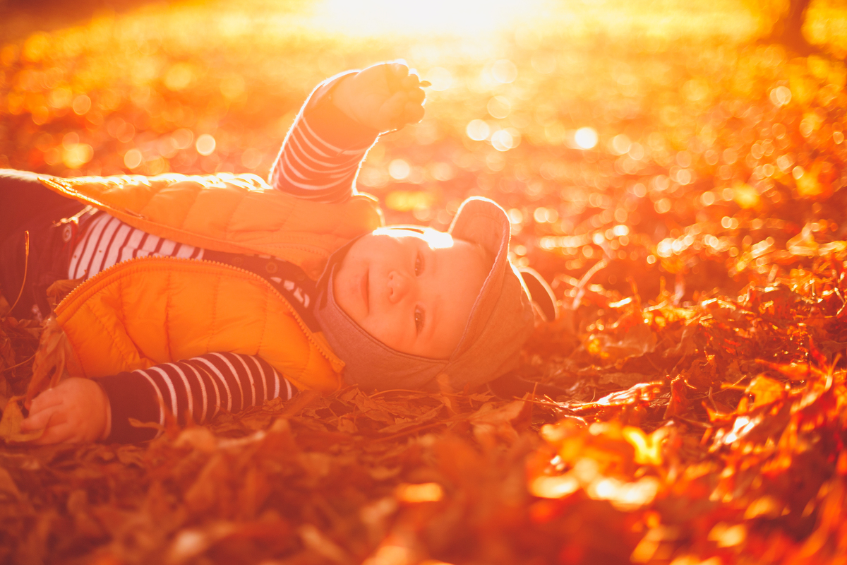 fotografa familia curitiba - ensaio externo acompanhamento 8 meses bosque papa