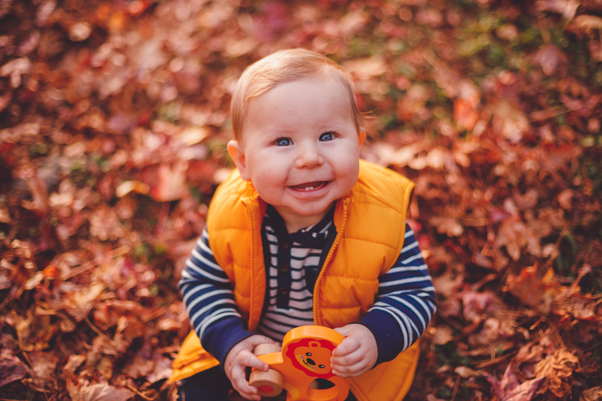 fotografa familia curitiba - ensaio externo acompanhamento 8 meses bosque papa