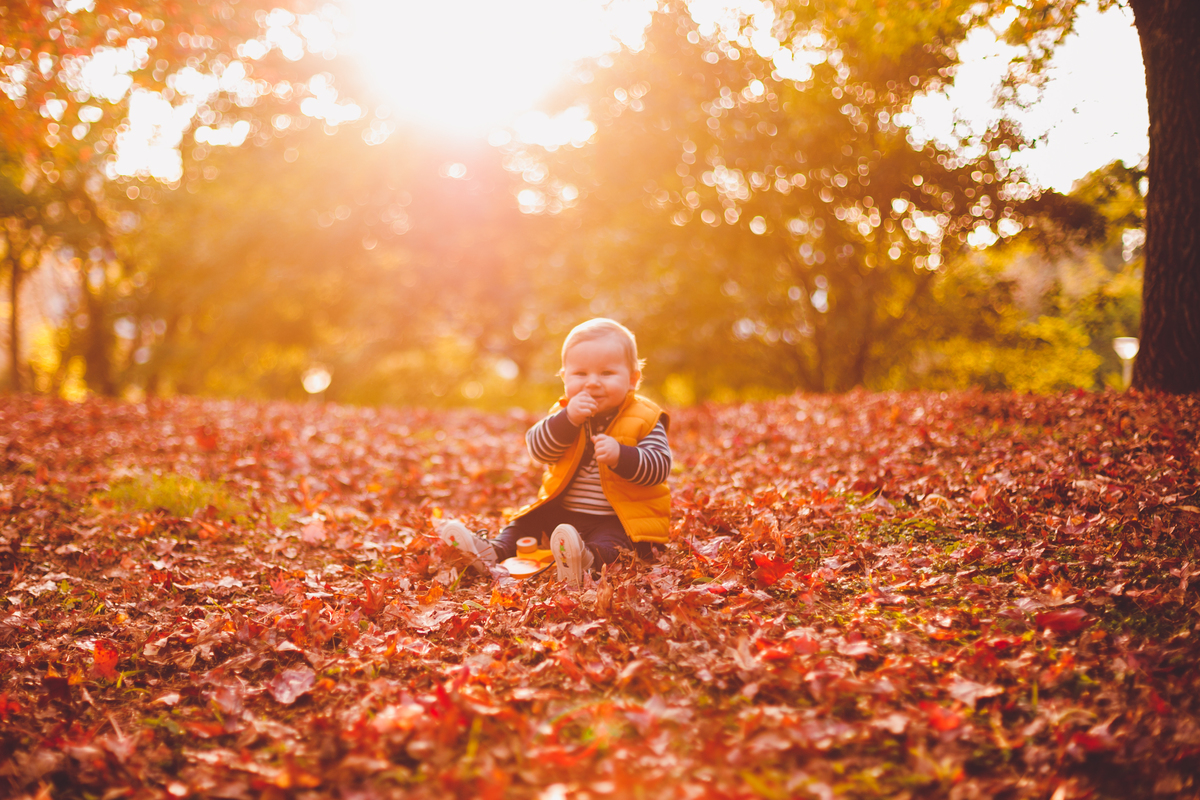 fotografa familia curitiba - ensaio externo acompanhamento 8 meses bosque papa