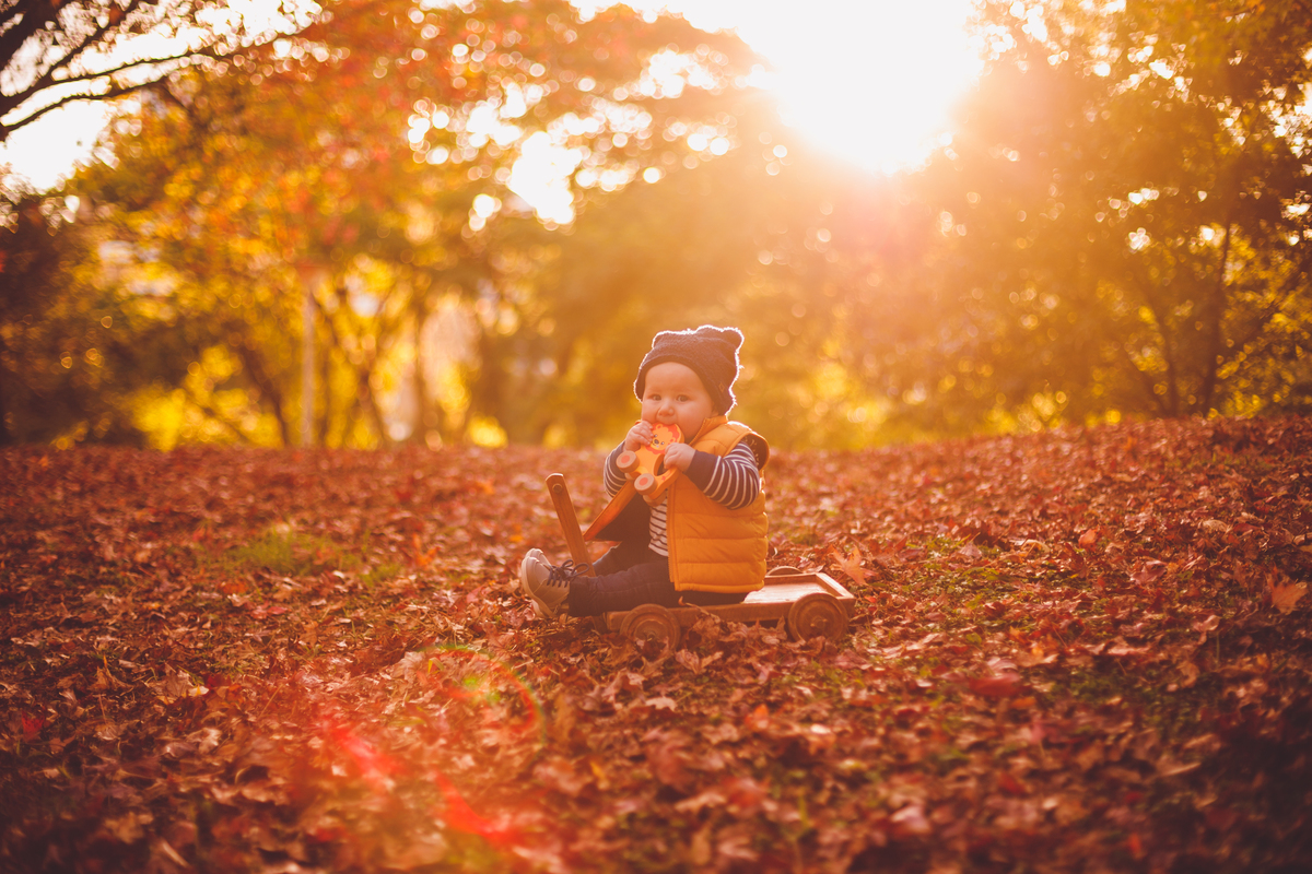 fotografa familia curitiba - ensaio externo acompanhamento 8 meses bosque papa