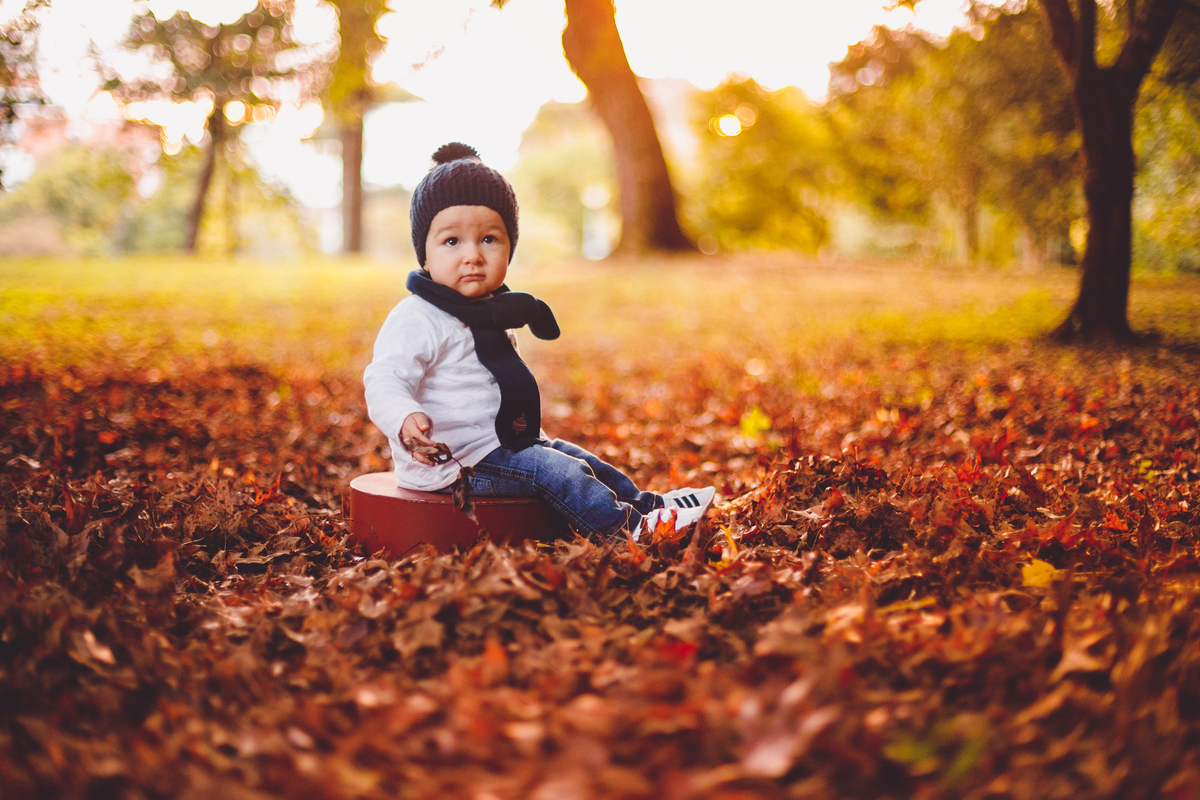 fotografa familia curitiba - externo bosque outono bebe menino 