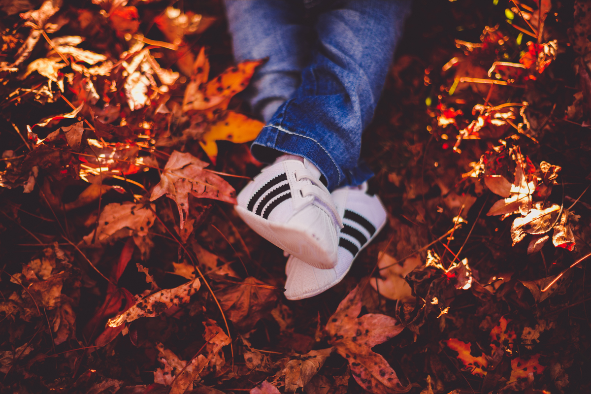 fotografa familia curitiba - externo bosque outono bebe menino 