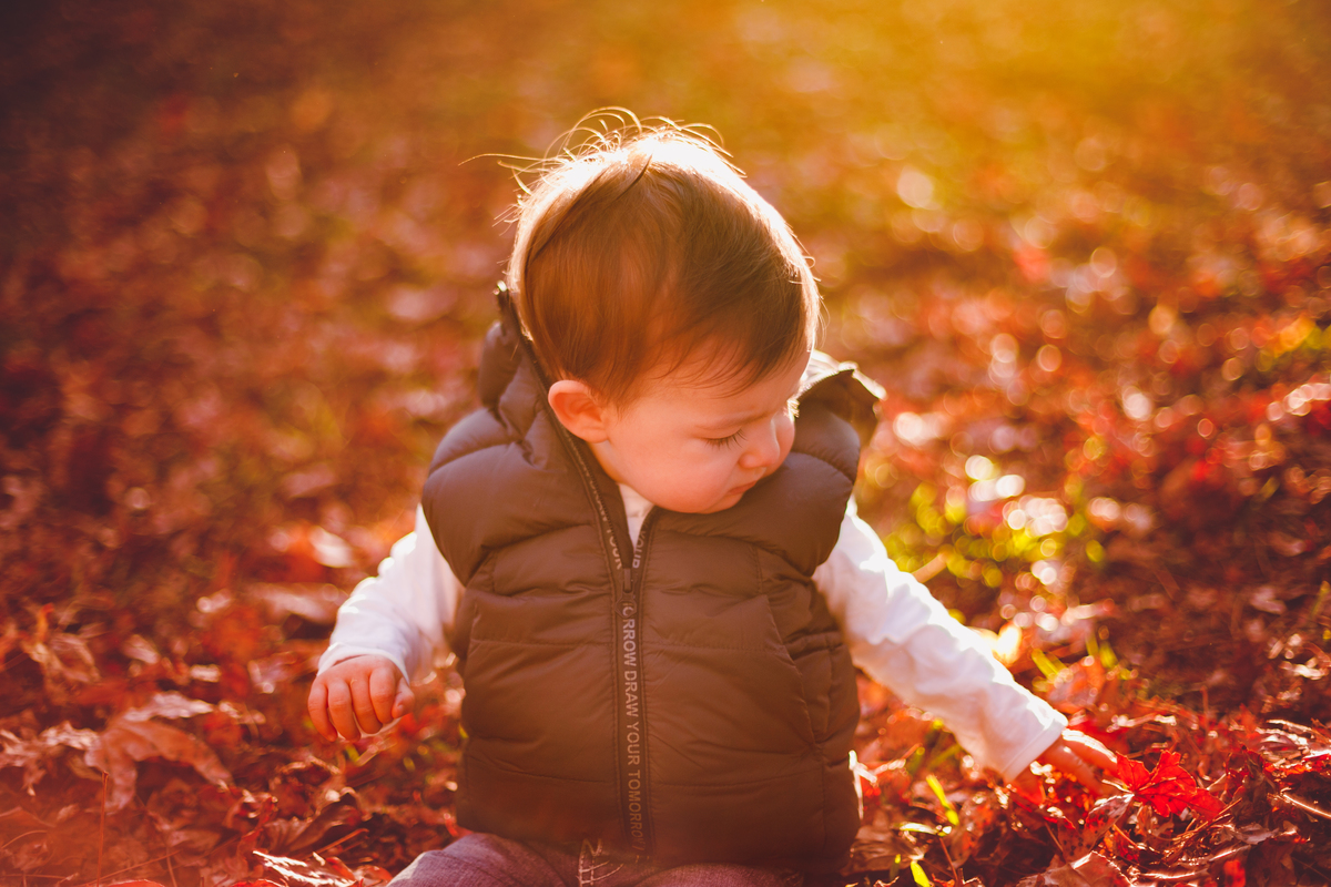 fotografa familia curitiba - externo bosque outono bebe menino 