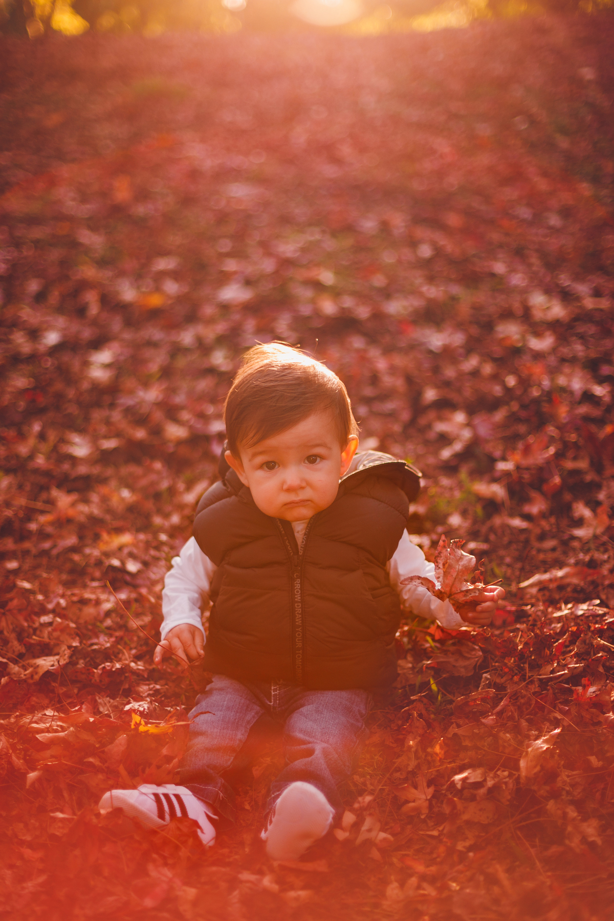 fotografa familia curitiba - externo bosque outono bebe menino 