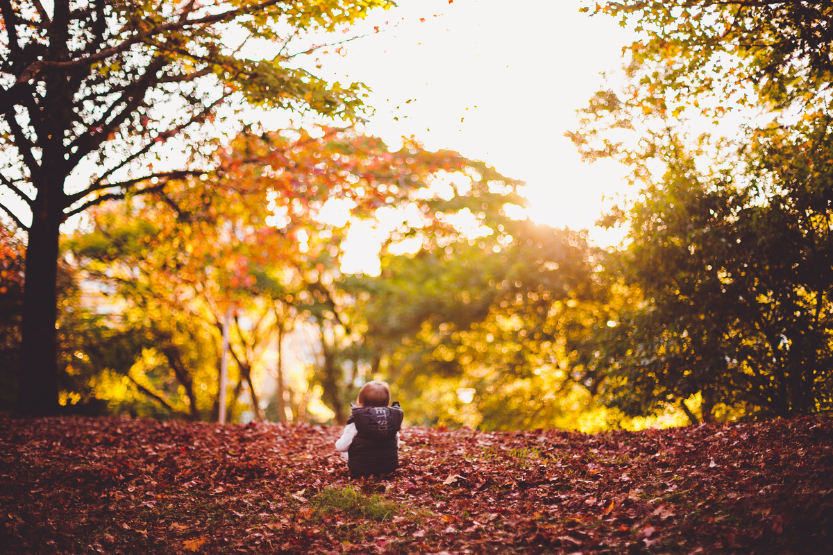 fotografa familia curitiba - externo bosque outono bebe menino 