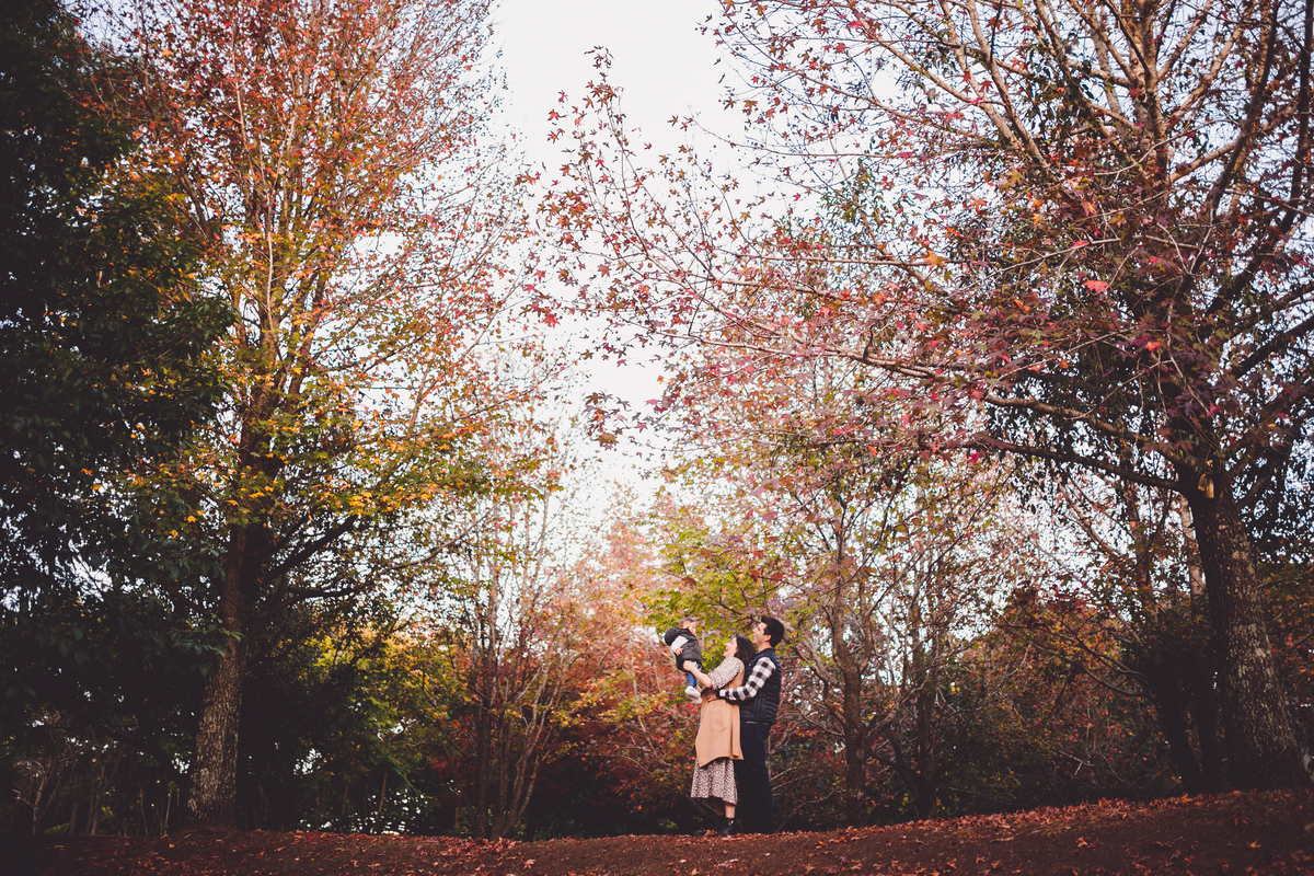 fotografa familia curitiba - externo bosque outono bebe menino 