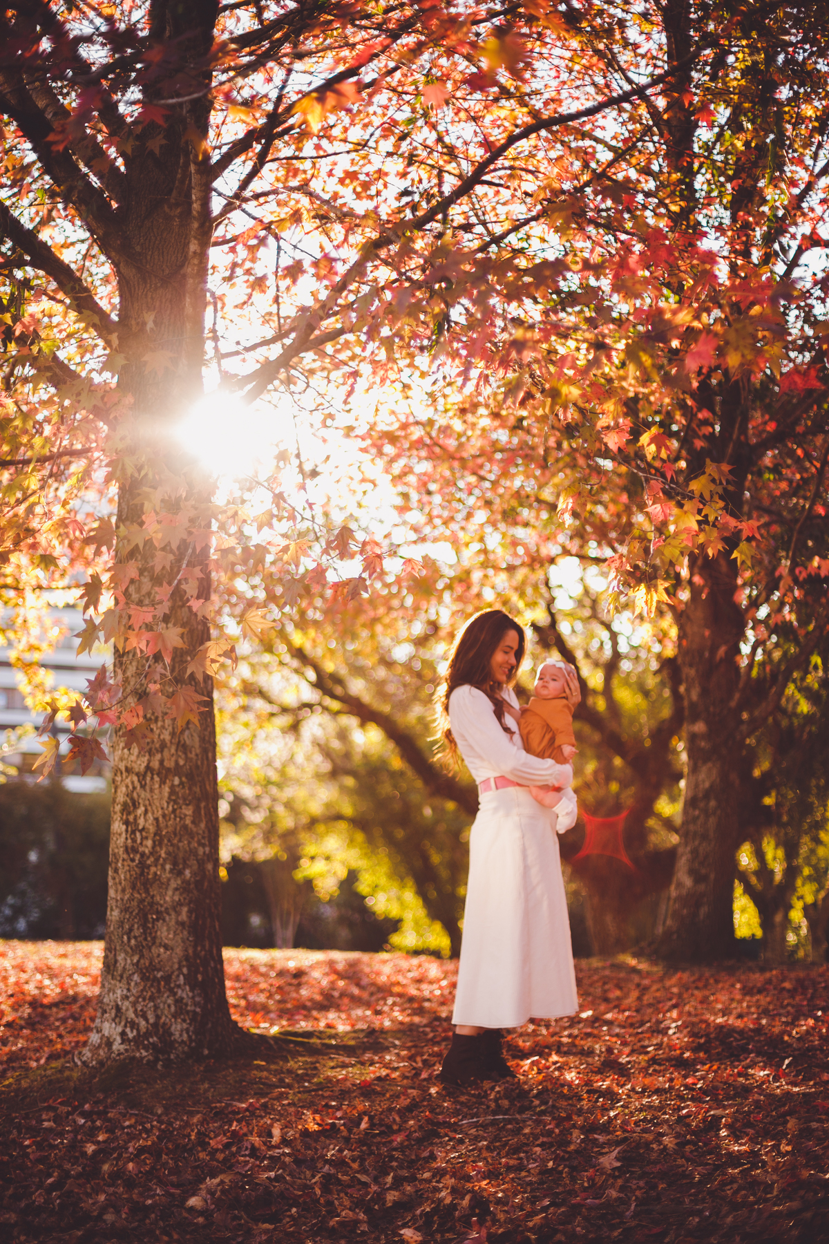 fotografa familia curitiba - ensaio externo bebe 4 meses bosque outono